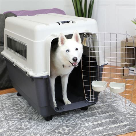 Airline dog crate. Things To Know About Airline dog crate. 